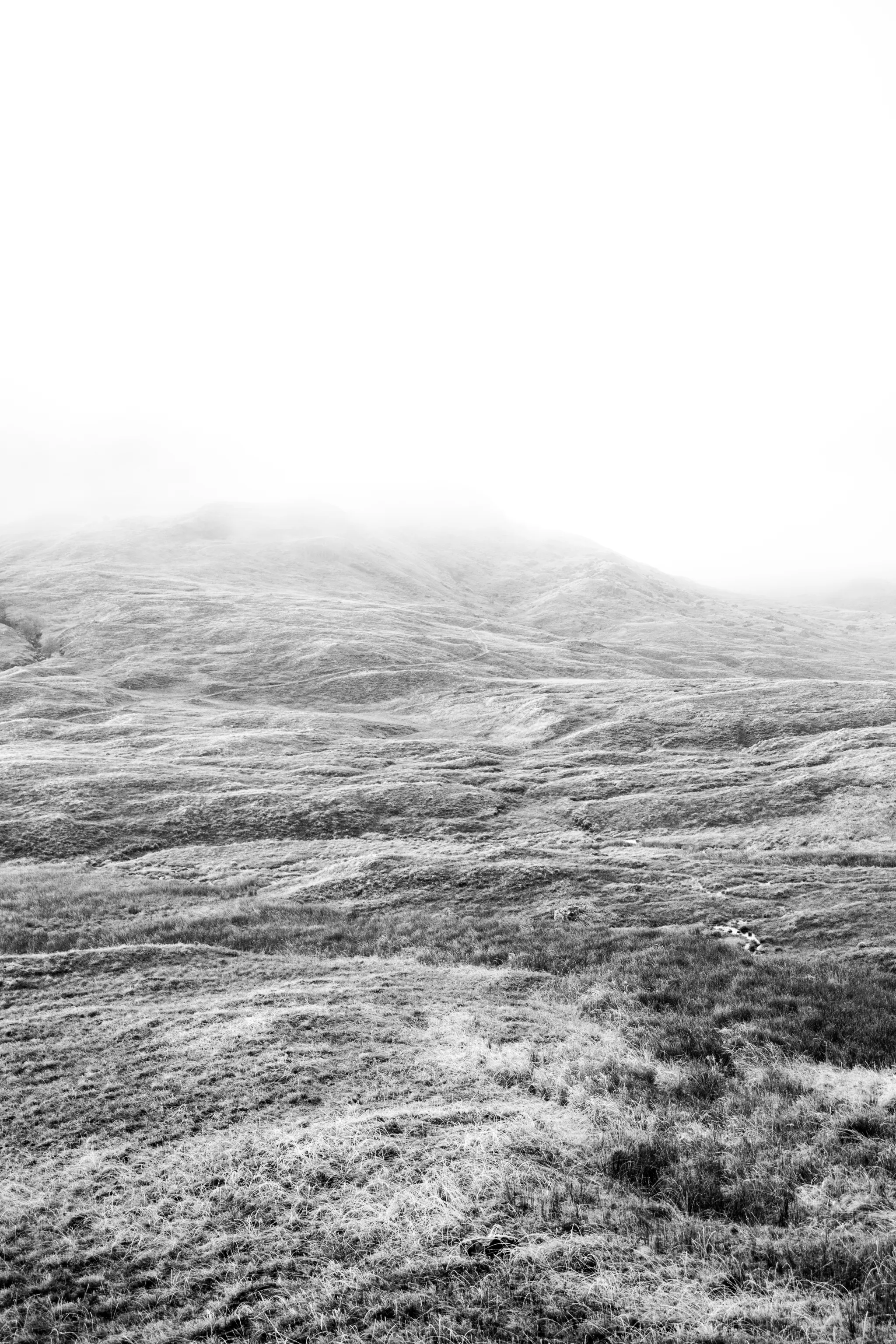 Scotland Mist Hills - Black and White large